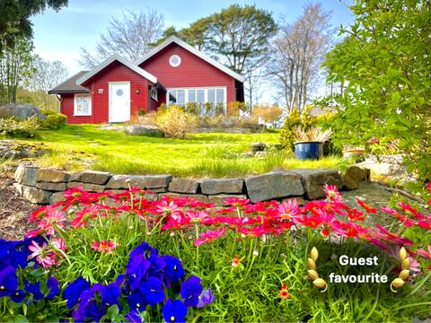 Spacious, family friendly, sports, beaches & UNDER