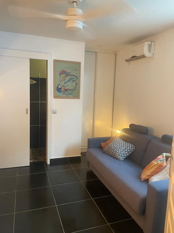 带沙发床的书桌+淋浴间