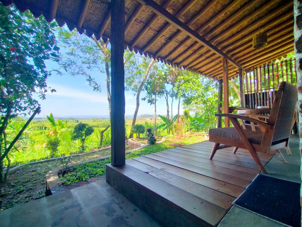 A wooden terrace offers a view of lush green rice fields and tropical foliage. Restored traditional chairs are positioned for relaxation under a thatched roof. The outdoor space is surrounded by vibrant greenery and invites moments of tranquility.