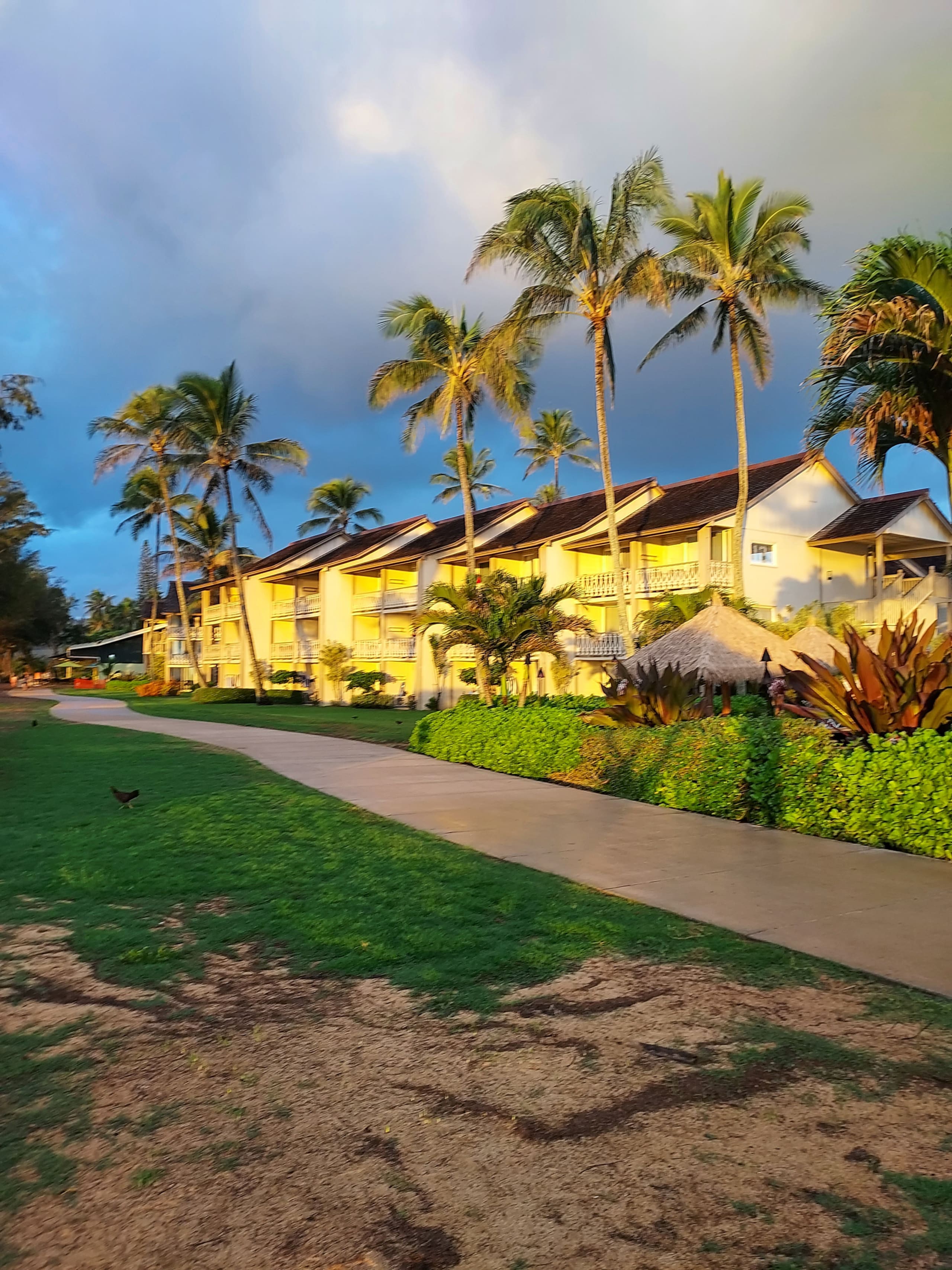 Condo in Kapaa · ★4.84 · Studio · 1 bed · 1 private bath - Image 5
