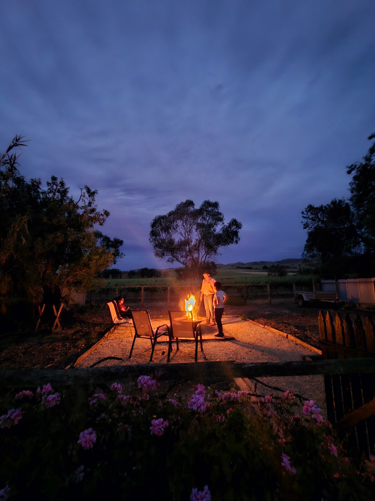 Jasmine's Cottage Barossa Valley Vineyard Views