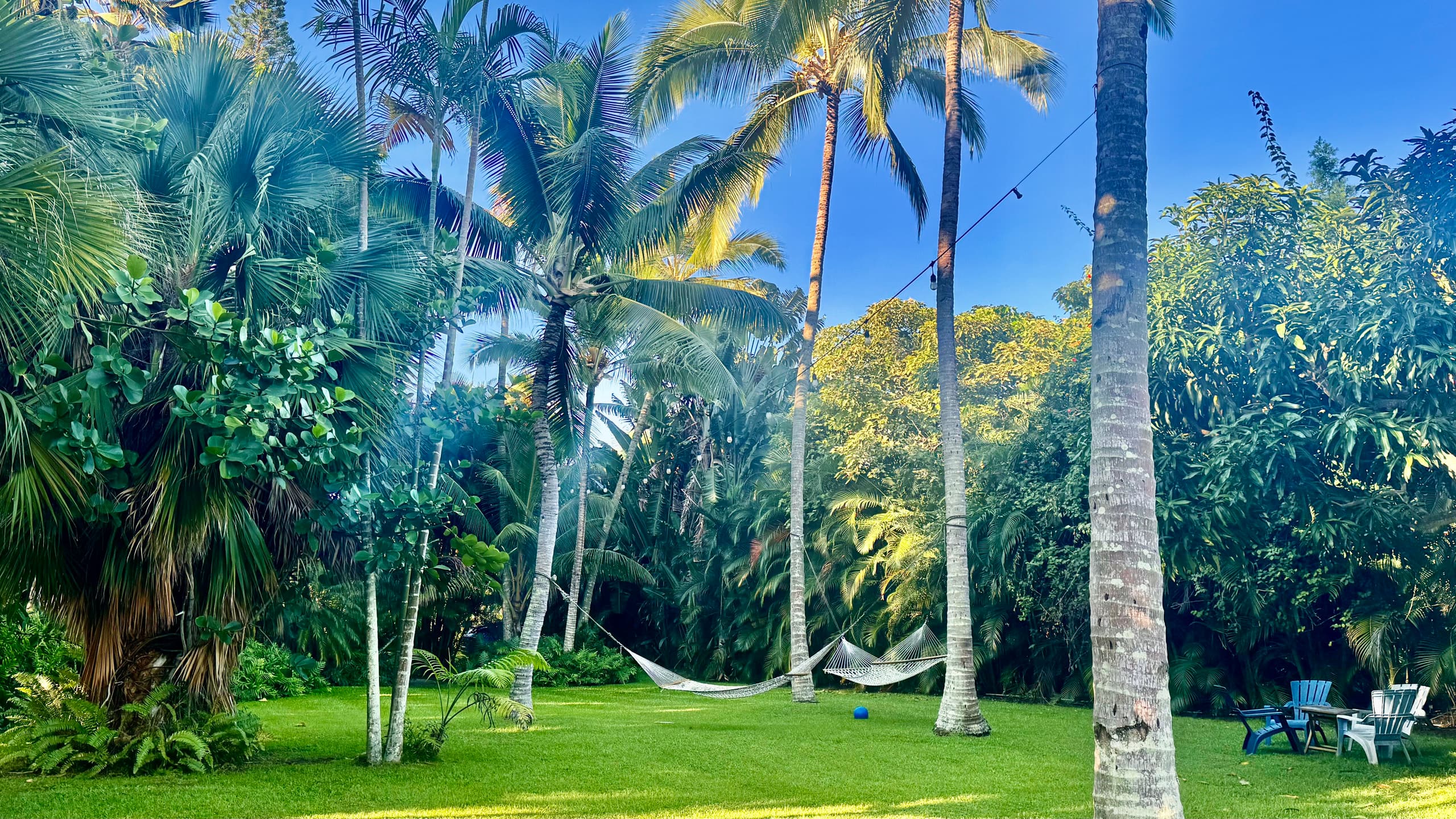 Gated Tropical Retreat near Kailua Kona and Ocean. - Image 17