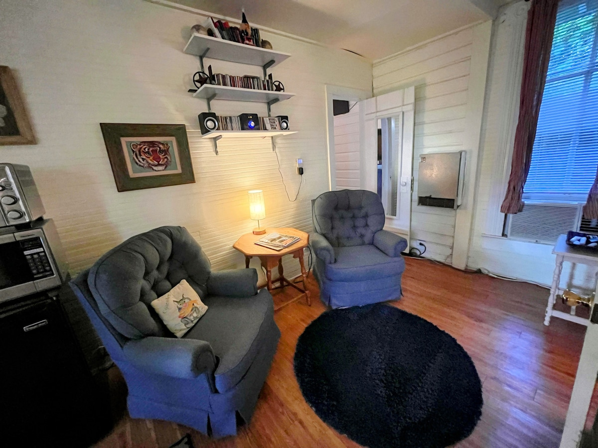 South Congress Apartment