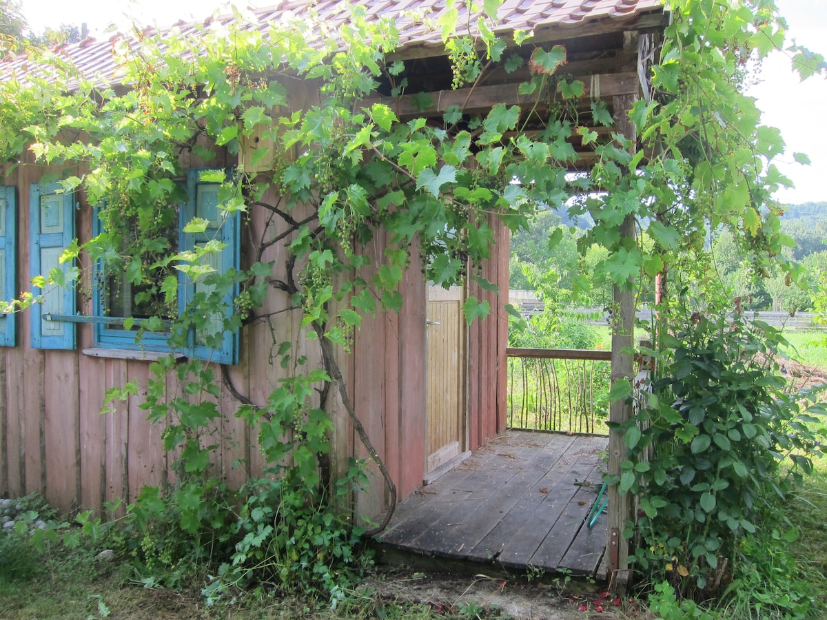 The exterior of the garden house is framed by lush green vines and vibrant blue shutters. A small, open porch invites relaxation, while natural greenery enhances the tranquil setting. Nearby, a view of the surrounding landscape is partially visible through the porch railing.