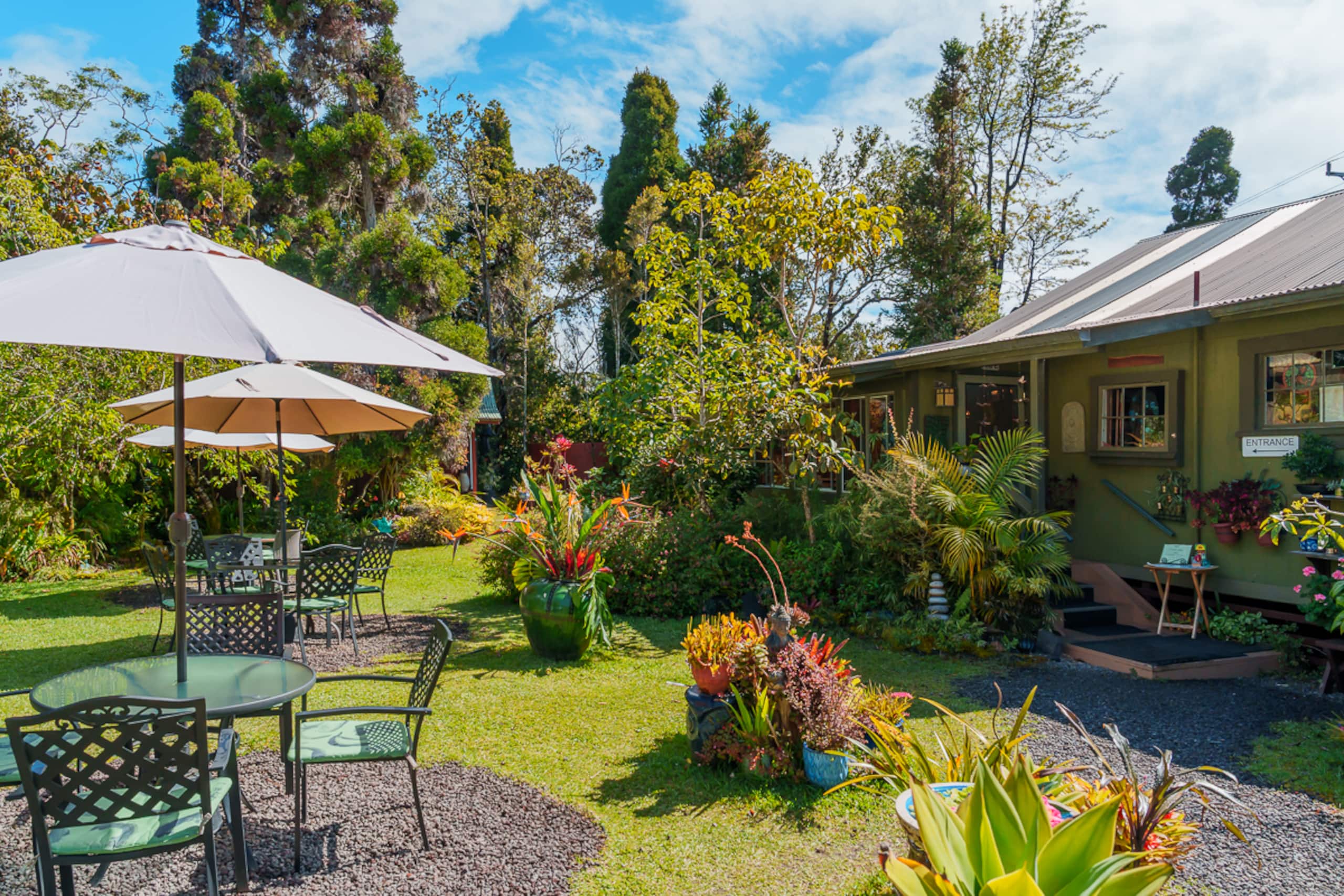 Cabin in Volcano · ★4.82 · 1 bedroom · 1 bed · 1 bath - Image 9