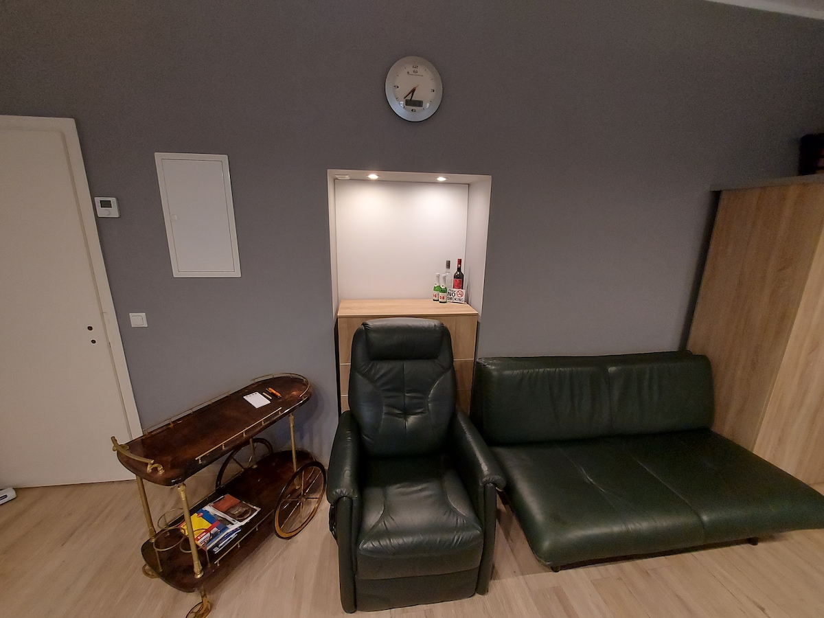 Popular Airbnb listing: Top Central Apartment on the Rhine with party room in Köln