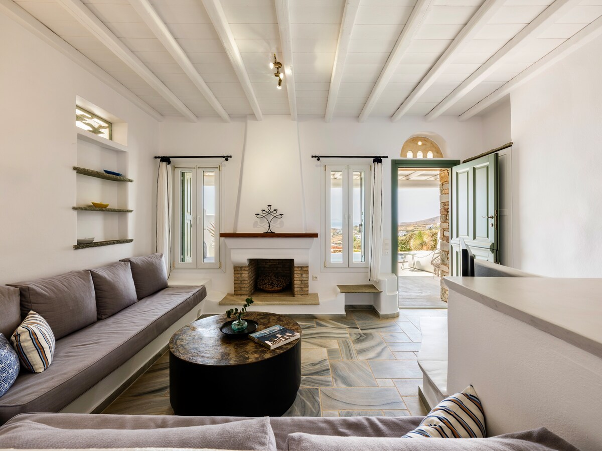 A spacious living area features two large sofas positioned around a circular coffee table. Natural light enters through multiple windows, with views of the outdoors visible. A decorative fireplace adds a focal point to the room, complementing the open and airy design.