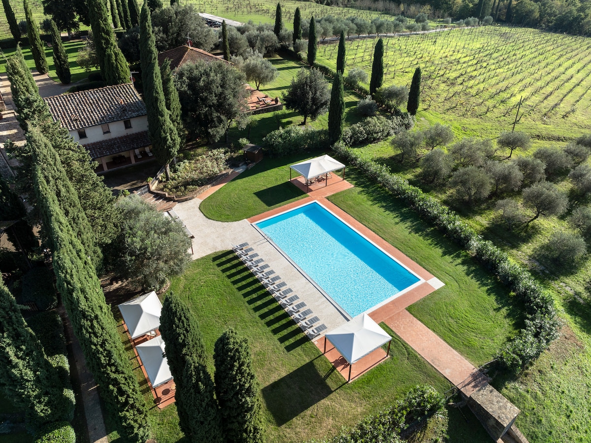 An aerial view of the property showcases a rectangular swimming pool surrounded by lush green lawns and olive trees. Sun loungers are arranged beside the pool, complemented by white canopies. Vineyards stretch into the distance, enhancing the peaceful countryside atmosphere.
