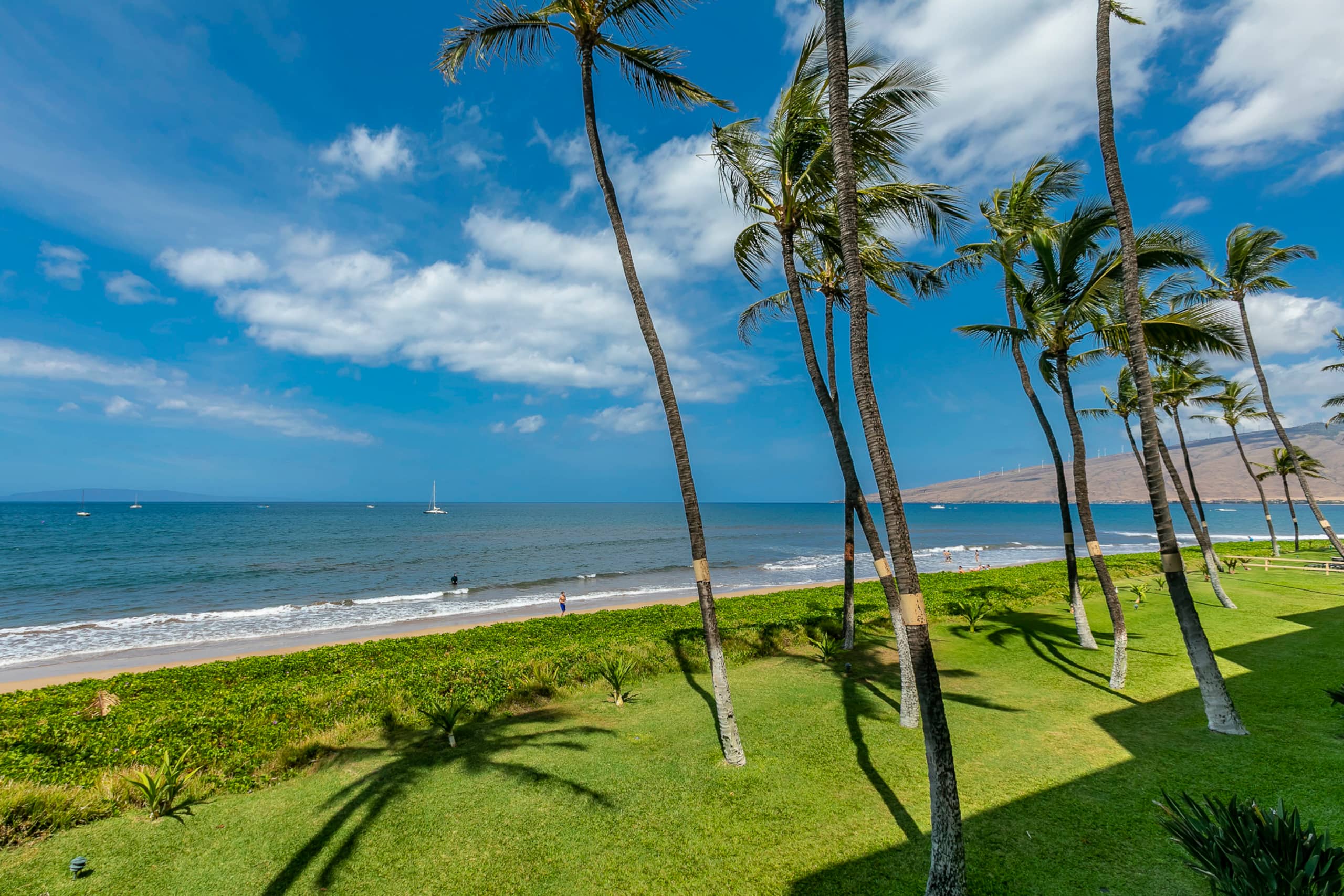 Condo in Kihei · ★4.85 · 1 bedroom · 2 beds · 1 bath - Image 23