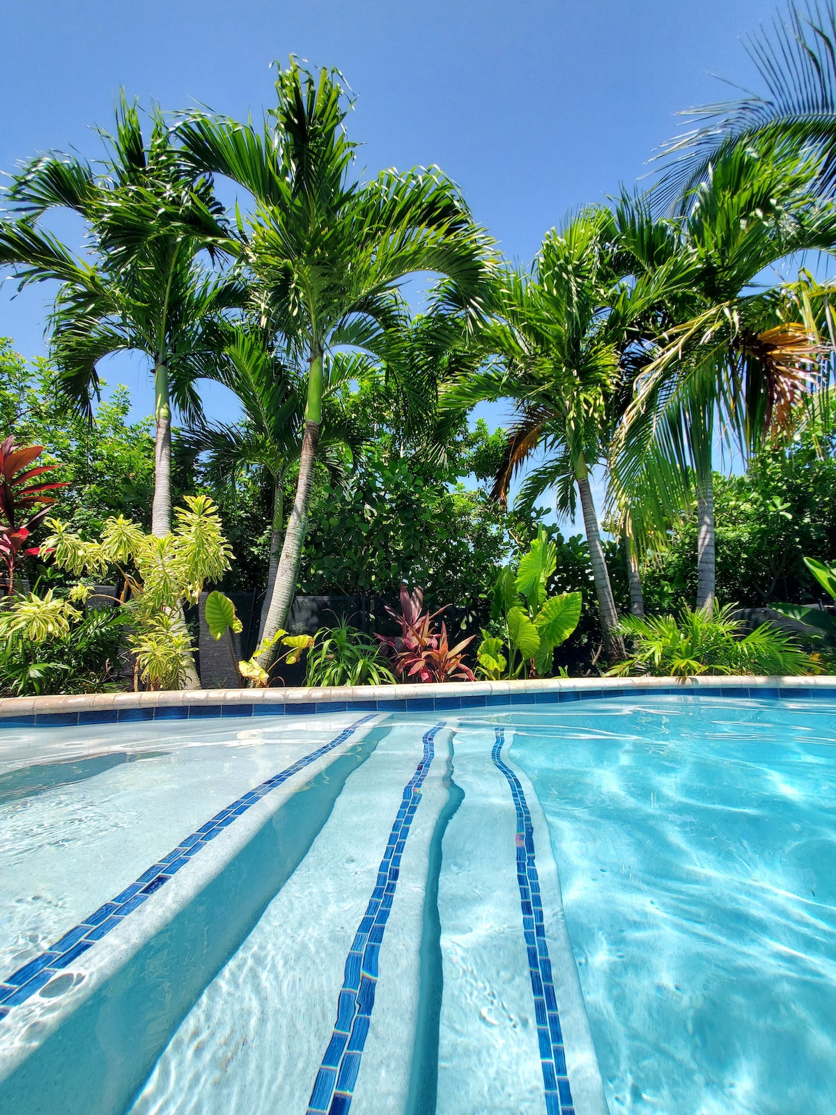 The secluded swimming pool is framed by lush tropical vegetation, featuring an inviting blue water surface with clear tiles along the edges. Towering palm trees and vibrant greenery can be seen surrounding the area, contributing to a serene atmosphere.