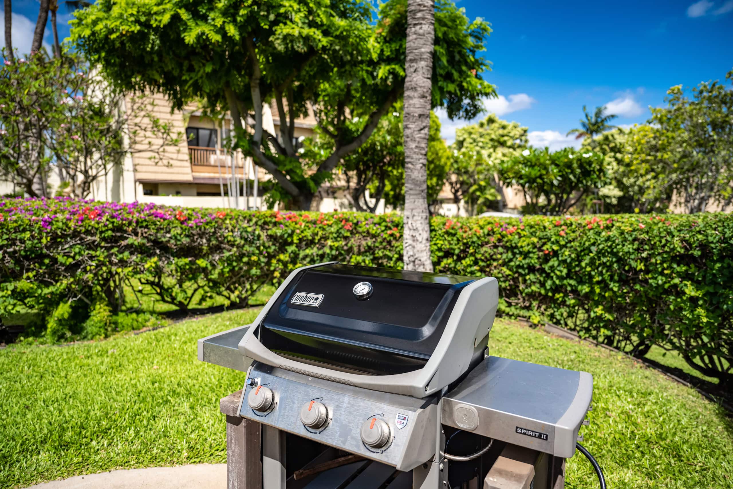 Condo in Kihei · ★4.89 · 2 bedrooms · 3 beds · 2 baths - Image 40