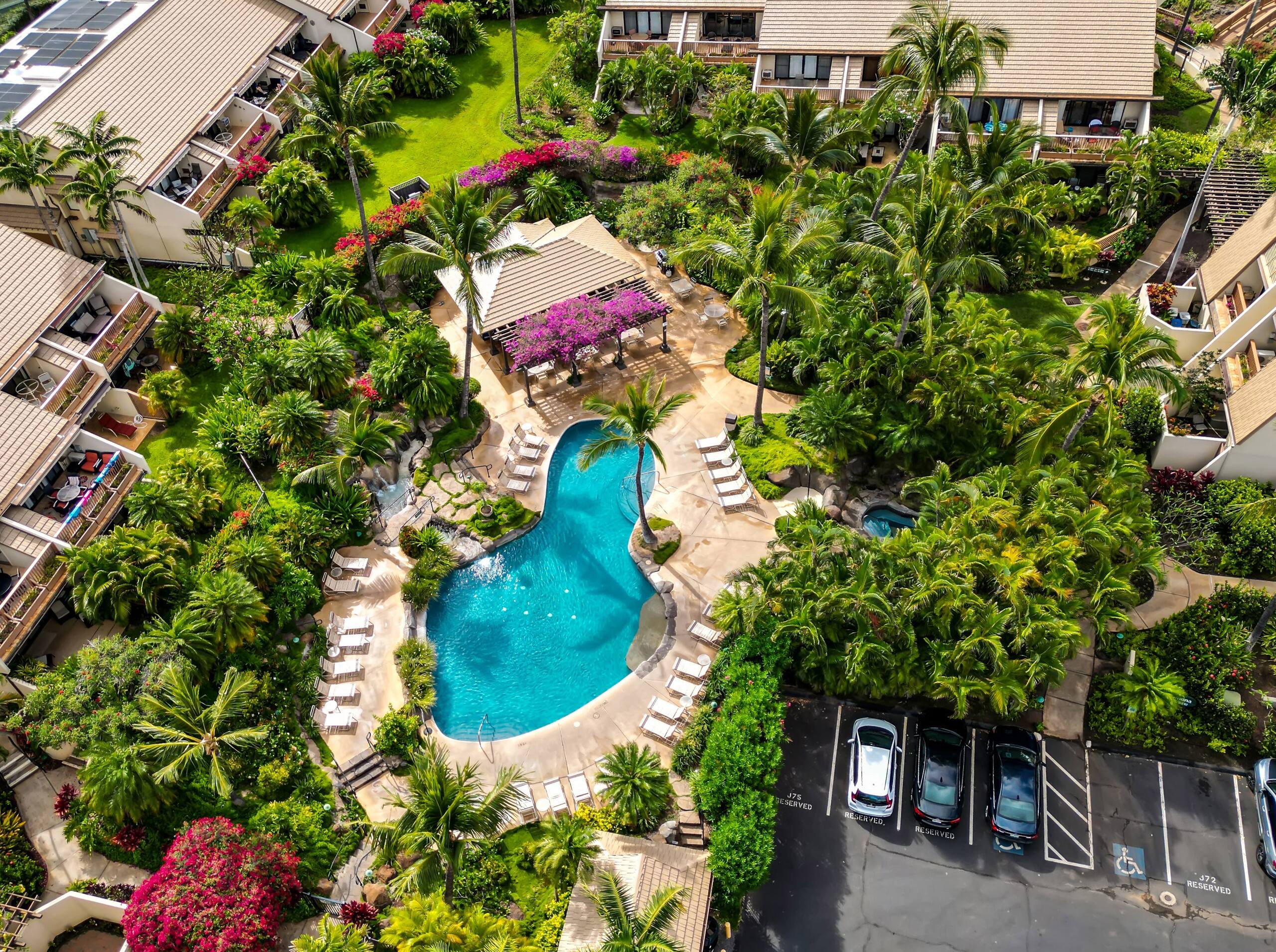 Condo in Kihei · ★4.89 · 2 bedrooms · 3 beds · 2 baths - Image 63