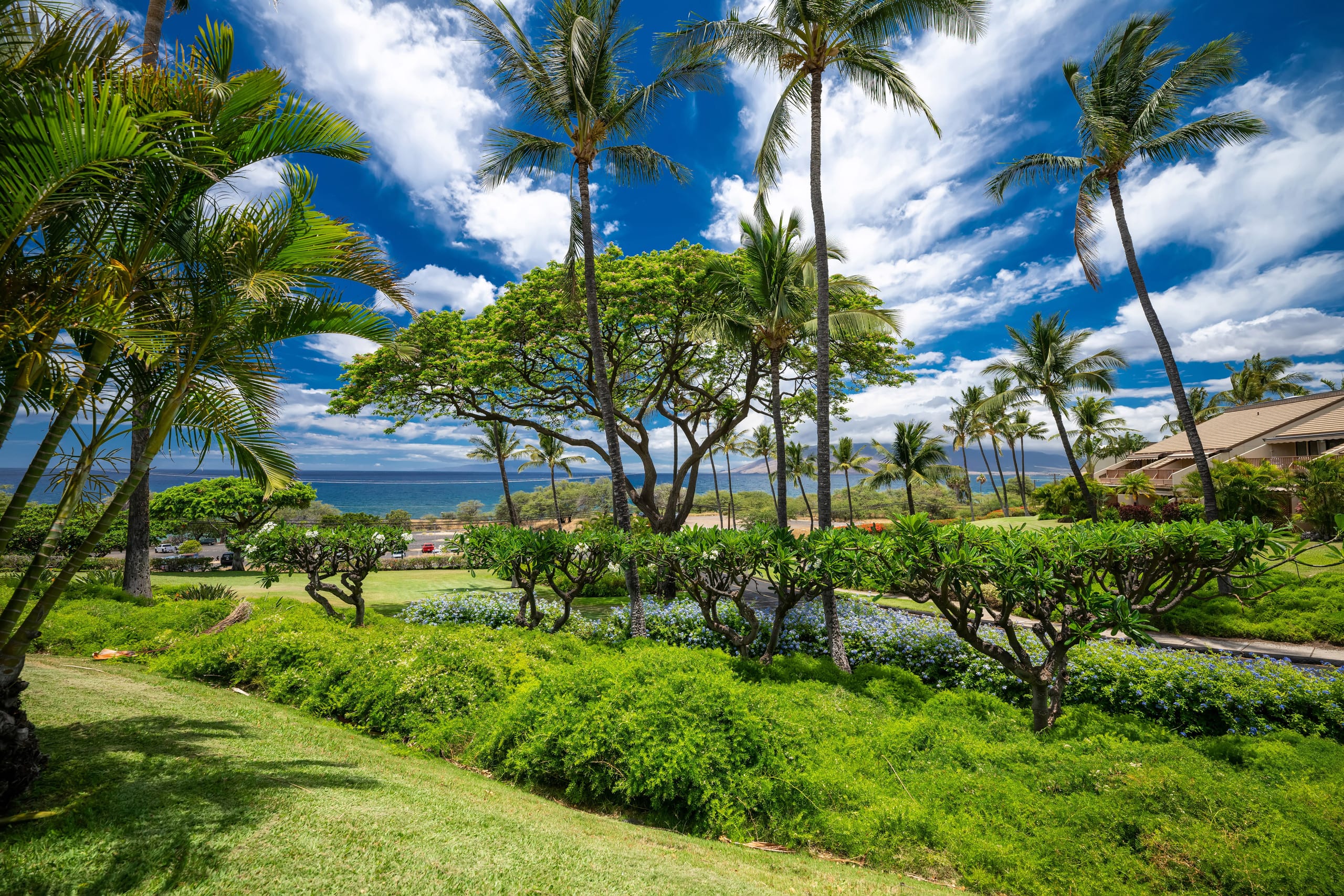 Condo in Kihei · ★4.89 · 2 bedrooms · 3 beds · 2 baths - Image 36