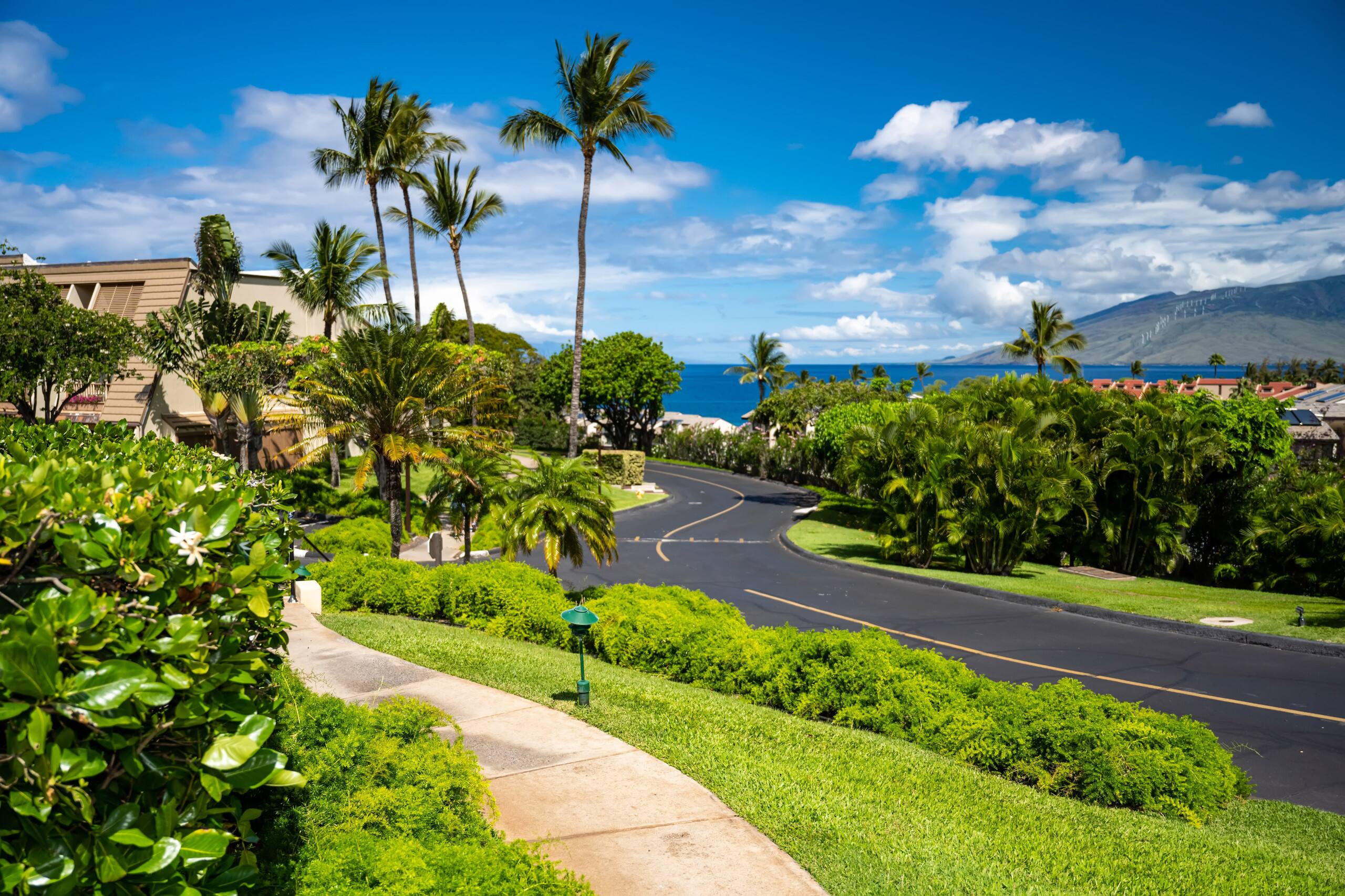 Condo in Kihei · ★4.89 · 2 bedrooms · 3 beds · 2 baths - Image 43