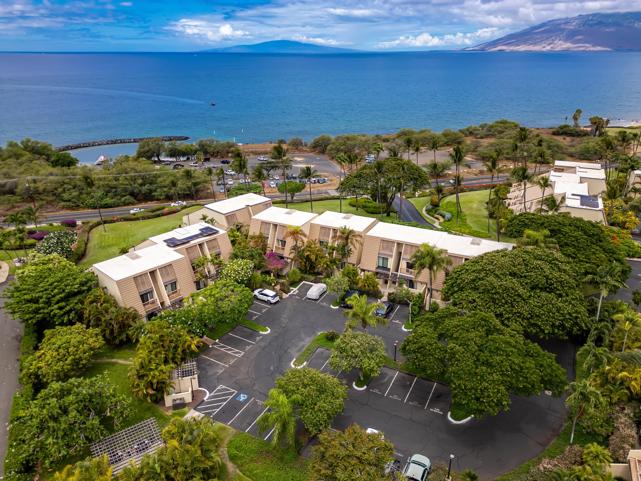 Condo in Kihei · ★4.89 · 2 bedrooms · 3 beds · 2 baths - Image 32
