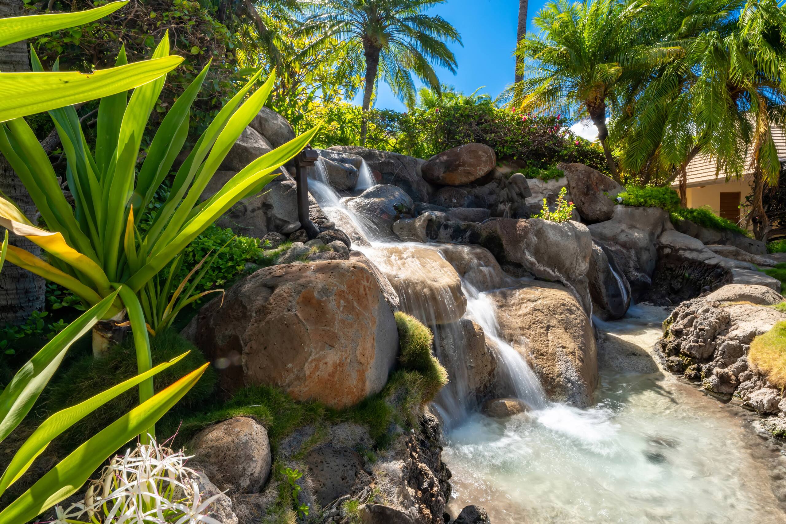 Condo in Kihei · ★4.89 · 2 bedrooms · 3 beds · 2 baths - Image 56