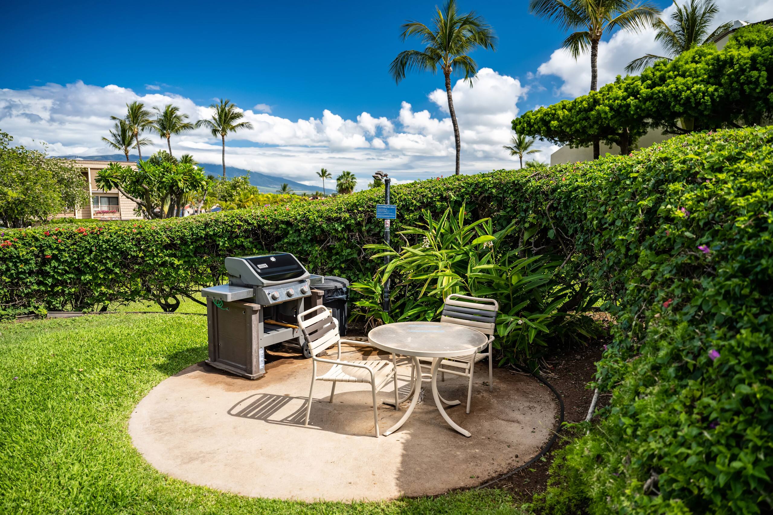 Condo in Kihei · ★4.89 · 2 bedrooms · 3 beds · 2 baths - Image 42