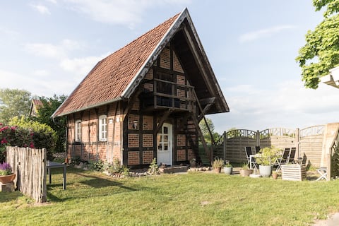 Garden|Peace|Relaxation|Dog