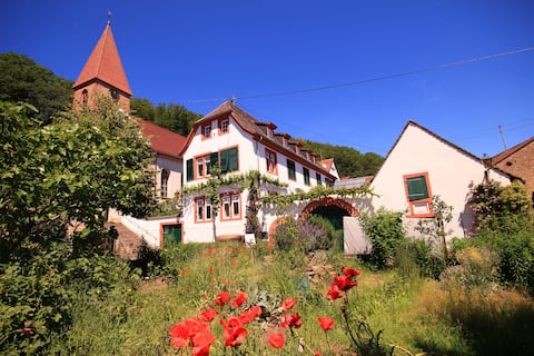 A feel-good oasis for all the senses