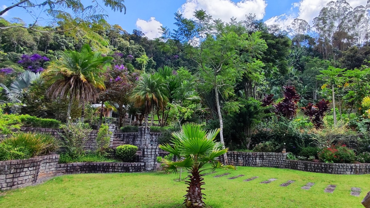 A lush garden is framed by dense greenery, featuring various tropical plants and vibrant flowers. Stone pathways meander through the landscape, leading to different areas, while tall trees provide shade and create a serene environment. A feeling of tranquility prevails throughout the outdoor space.