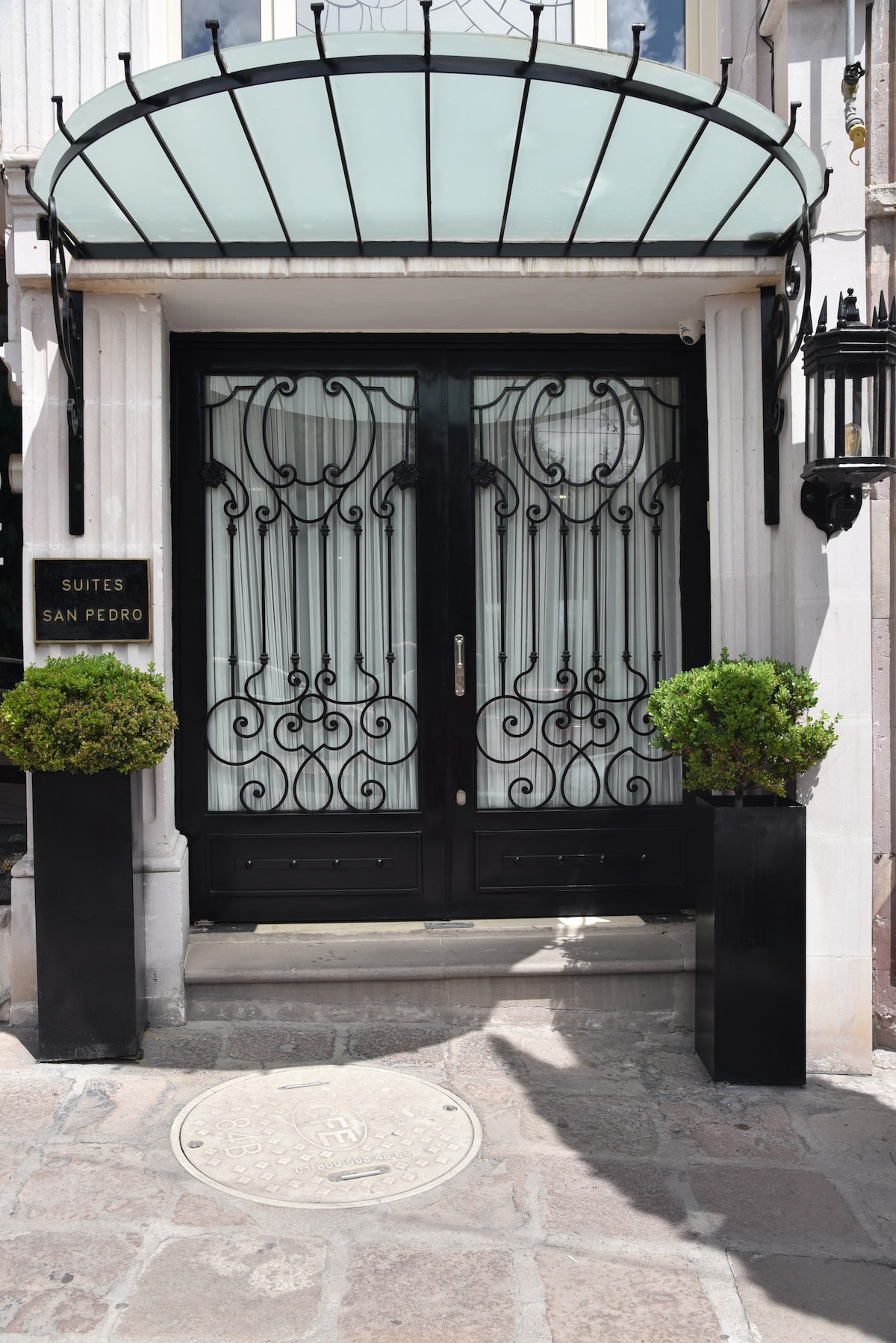 The entrance features elegant double doors with intricate ironwork, topped by a glass canopy. Potted plants stand on either side of the doors, adding a touch of greenery to the welcoming façade.