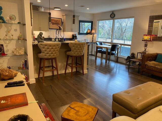 Exquisite Condo on Lady Bird Lake – Lake View gallery image 5