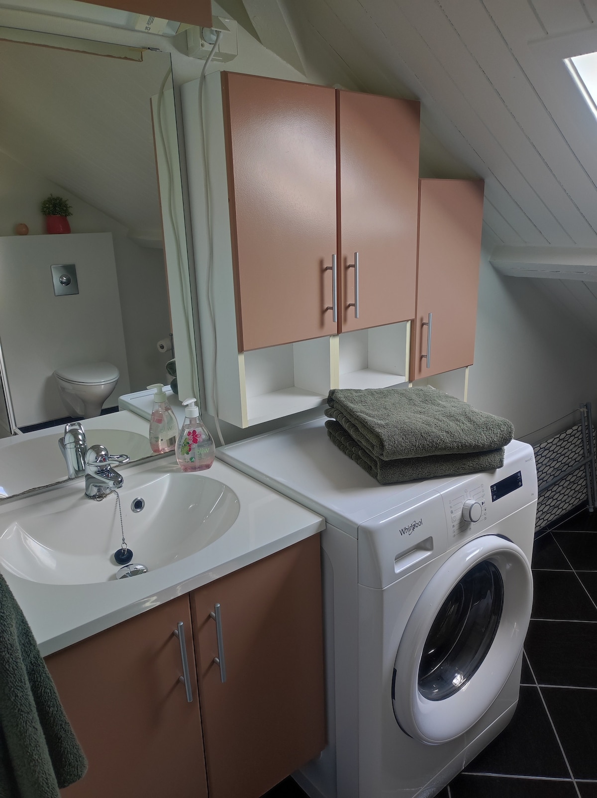 The spacious bathroom is equipped with essential amenities. A modern sink is positioned beside a washing machine, while storage cabinets provide space for toiletries. A towel is neatly folded on the machine, and a small potted plant adds a touch of greenery. Natural light enters through a skylight.