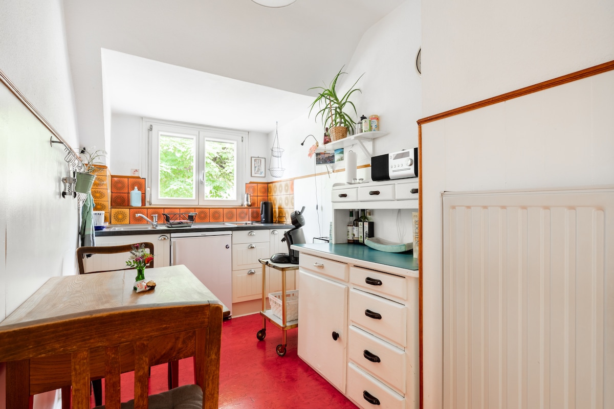 Annonce Airbnb populaire: Old building apartment at the university hospital à Freiburg Im Breisgau