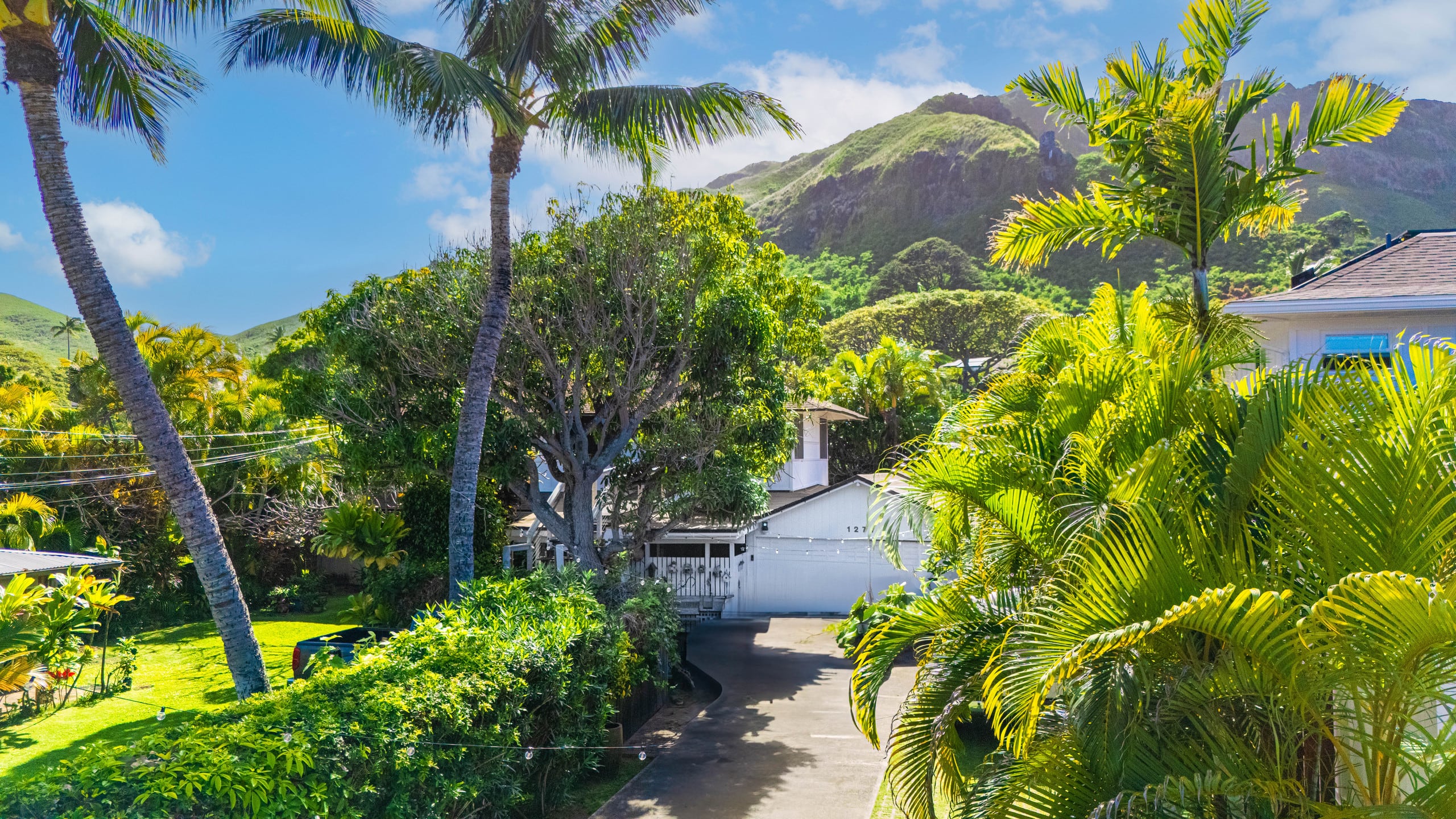 Licensed Lanikai Tree House - Since 1985! - Image 25