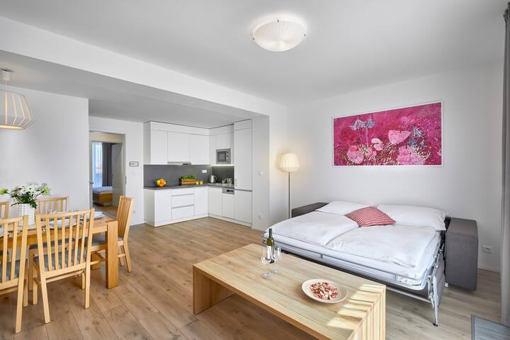 Penthouse with Terrace close to Prague Castle gallery image 2