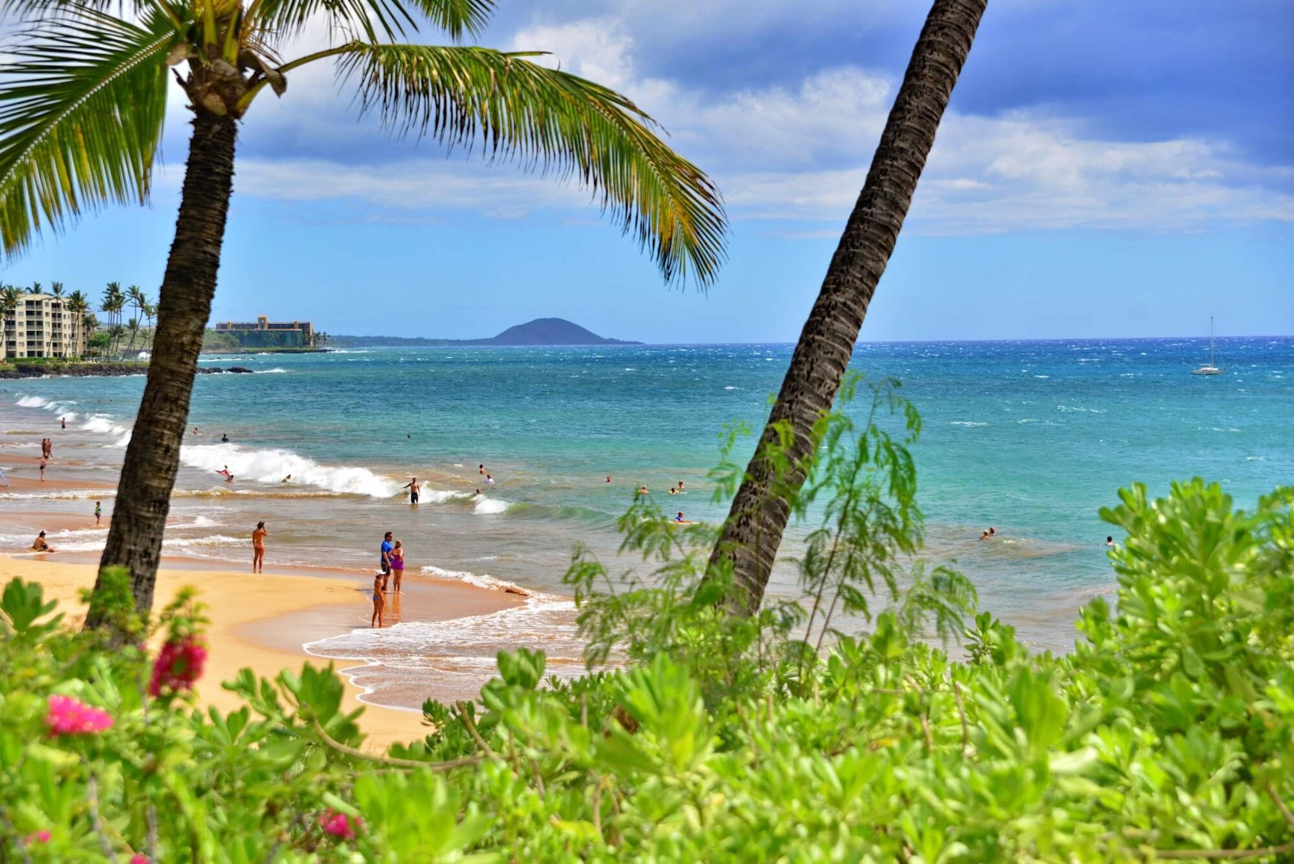 Condo in Kihei · ★4.91 · 2 bedrooms · 3 beds · 2 private baths - Image 27