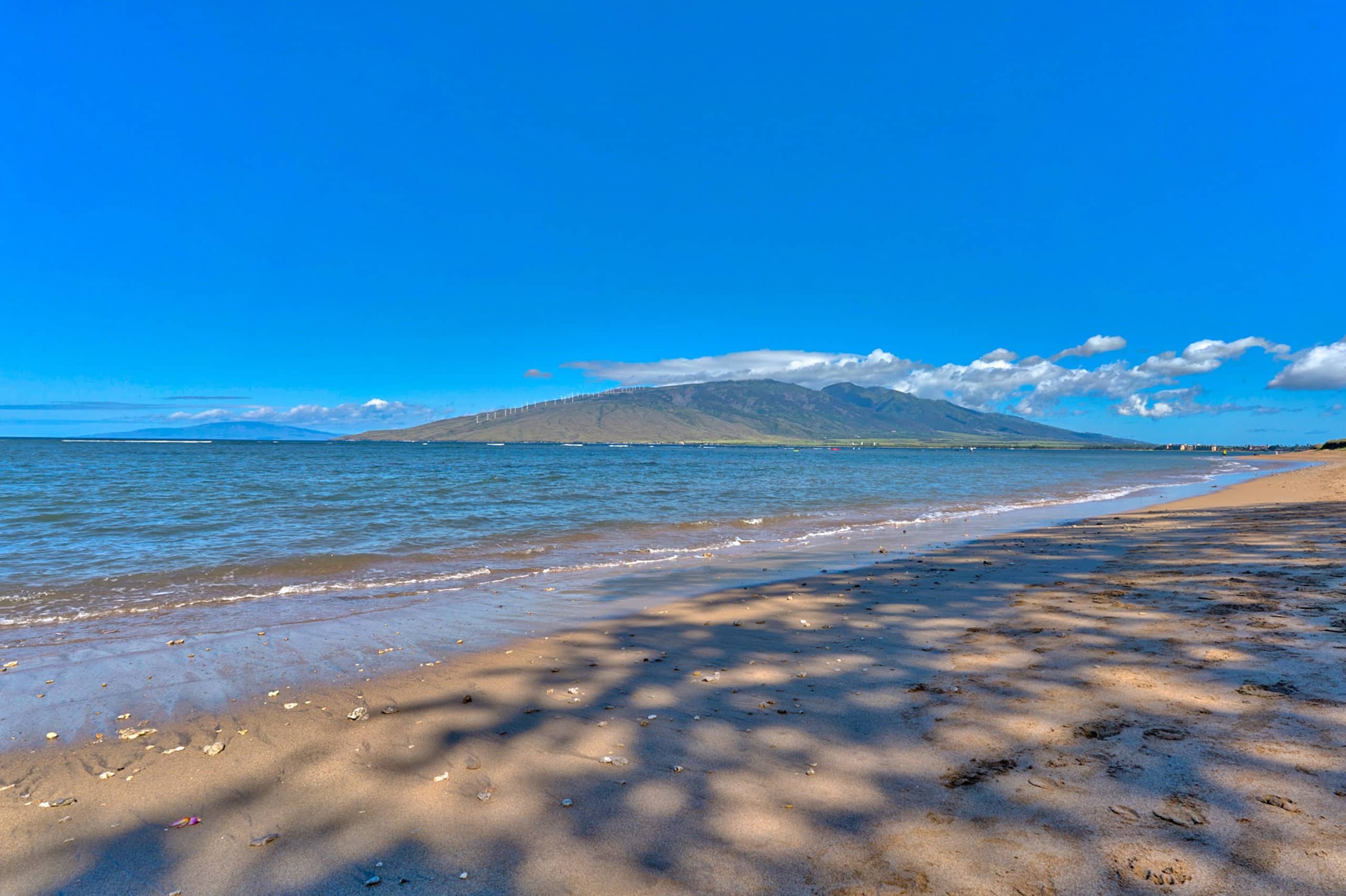 Condo in Kihei · ★4.94 · 2 bedrooms · 2 beds · 2 baths - Image 15