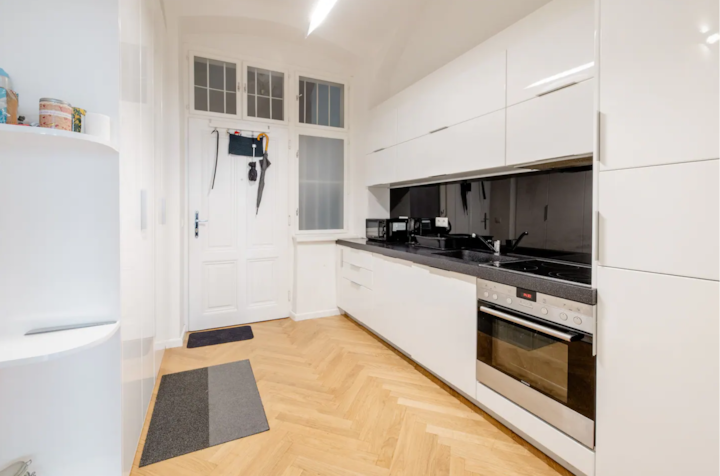 Stylish Room In Embassy Area | 1 Female Flatmate - Vienna