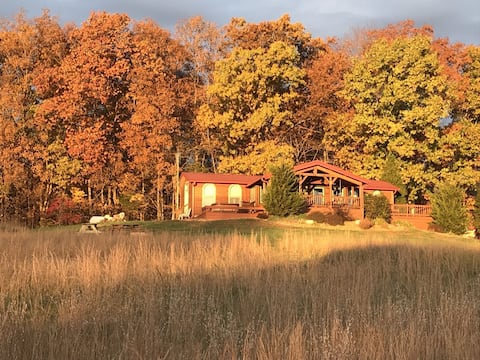 Southern Grace Cabin Hot Tub! 5 Stars! Dec. avail