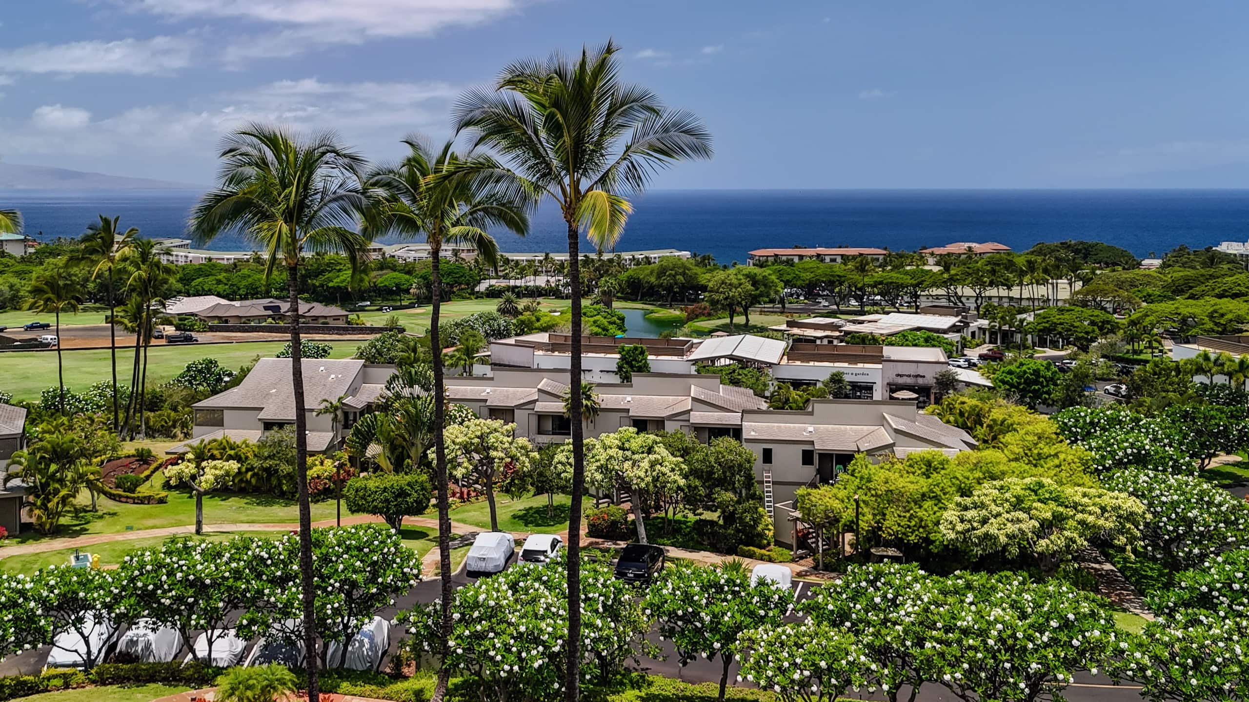 Condo in Kihei · ★4.77 · 2 bedrooms · 3 beds · 2 baths - Image 38