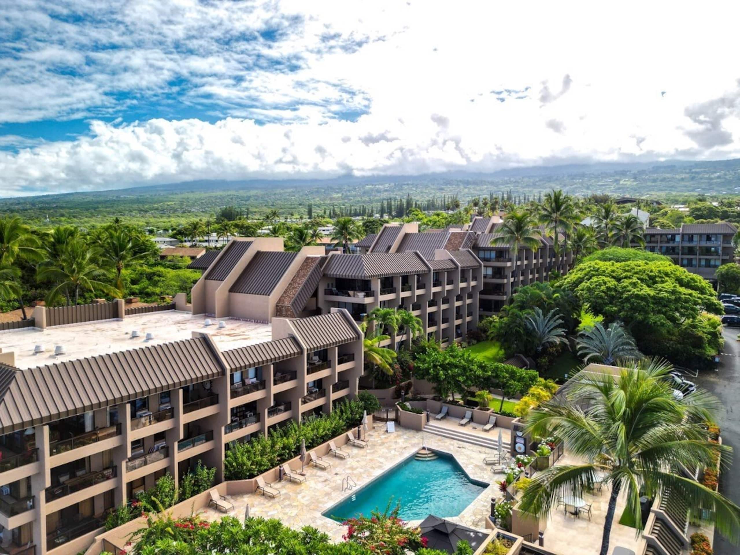 Bright apartment in the Heart of Kona - Photo 15