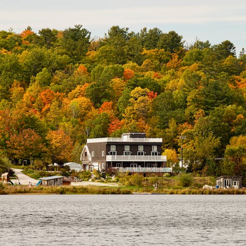 Full Resort - 6 Condos