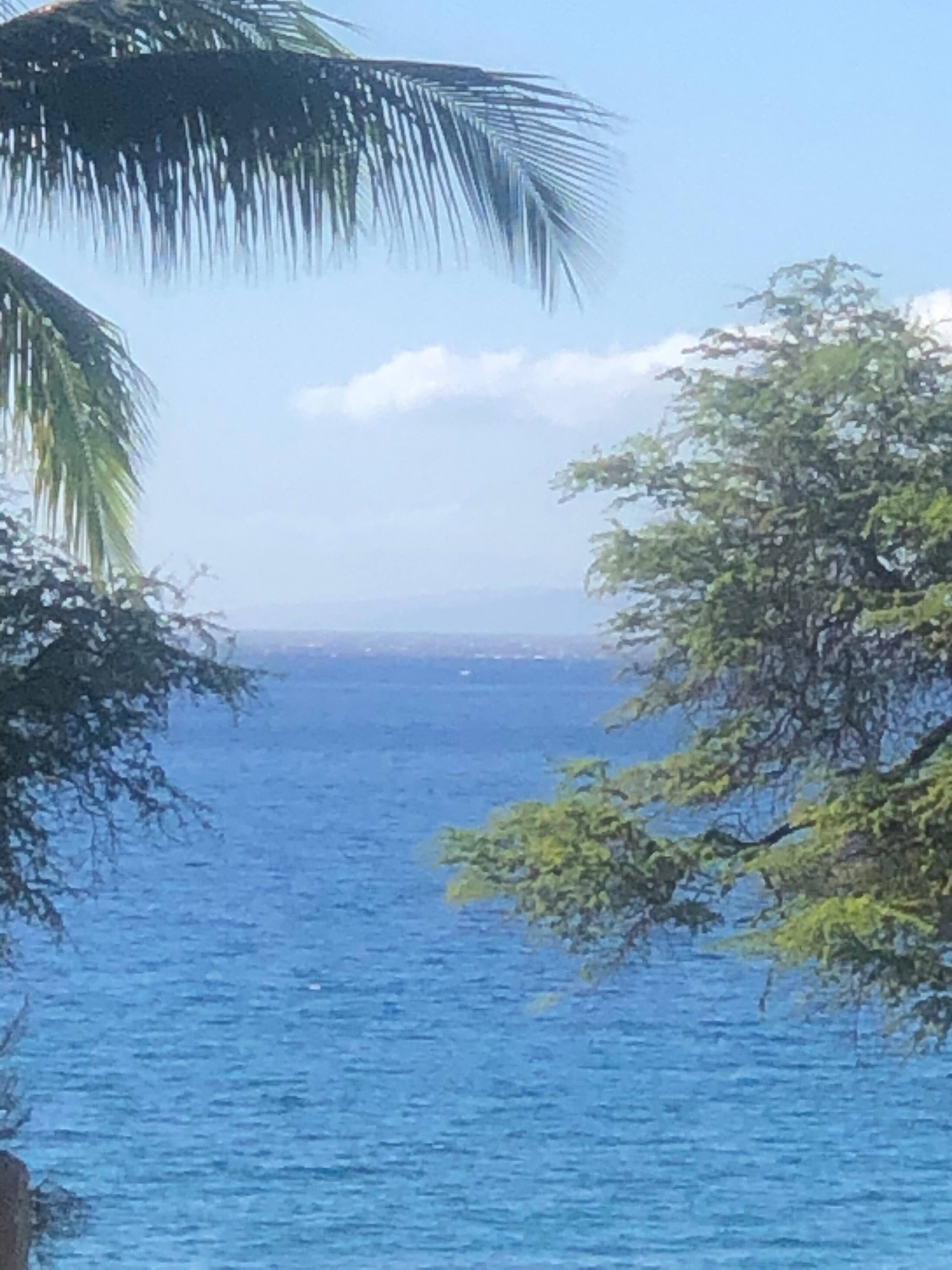 Condo in Kihei · ★4.71 · 2 bedrooms · 3 beds · 2 private baths - Image 27