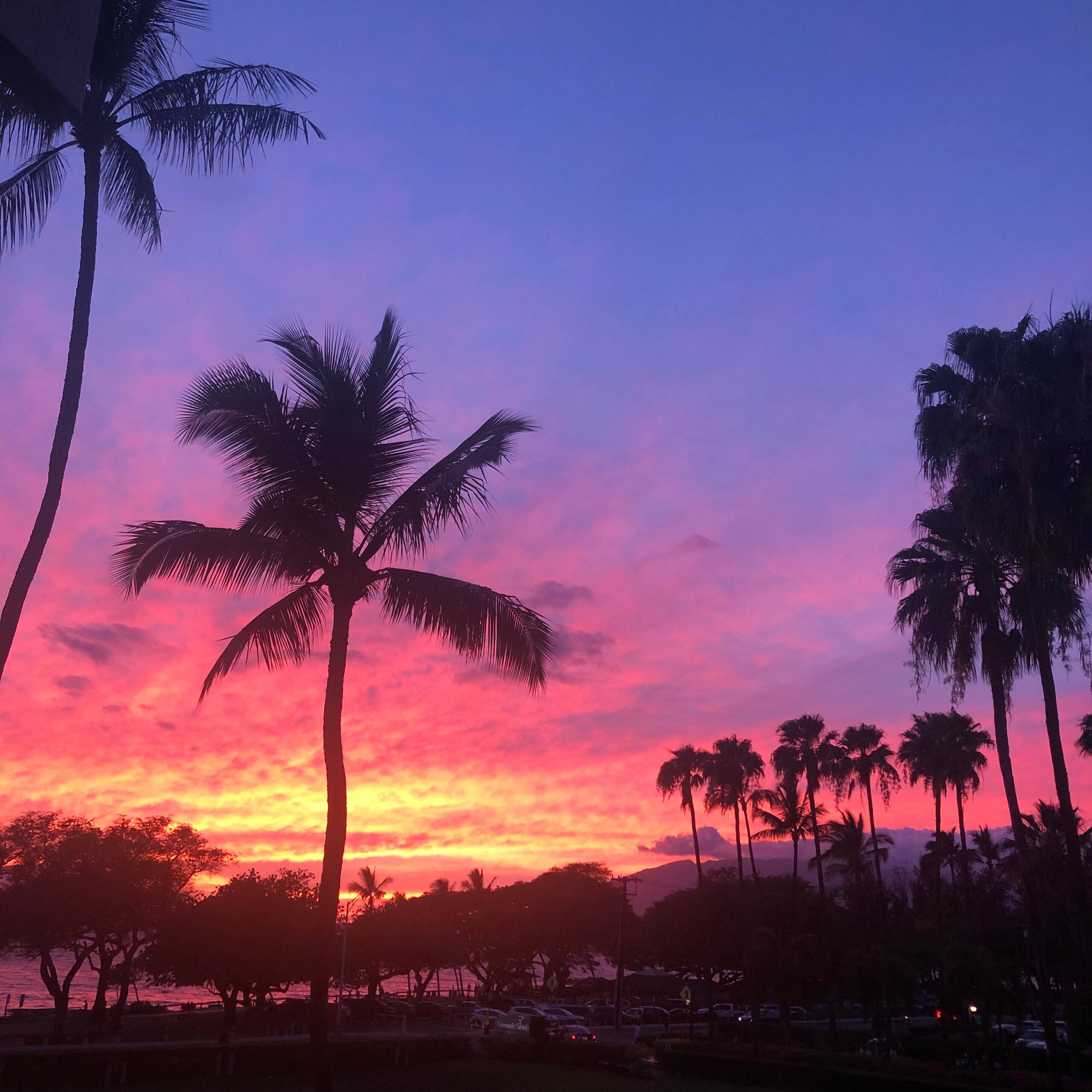 Condo in Kihei · ★4.71 · 2 bedrooms · 3 beds · 2 private baths - Image 33