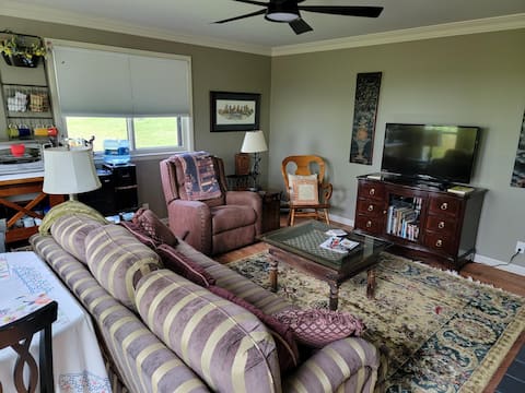 Successful Airbnb property: Welcome Y'all! C'mon to Nashville! in Donelson Hermitage Old Hickory