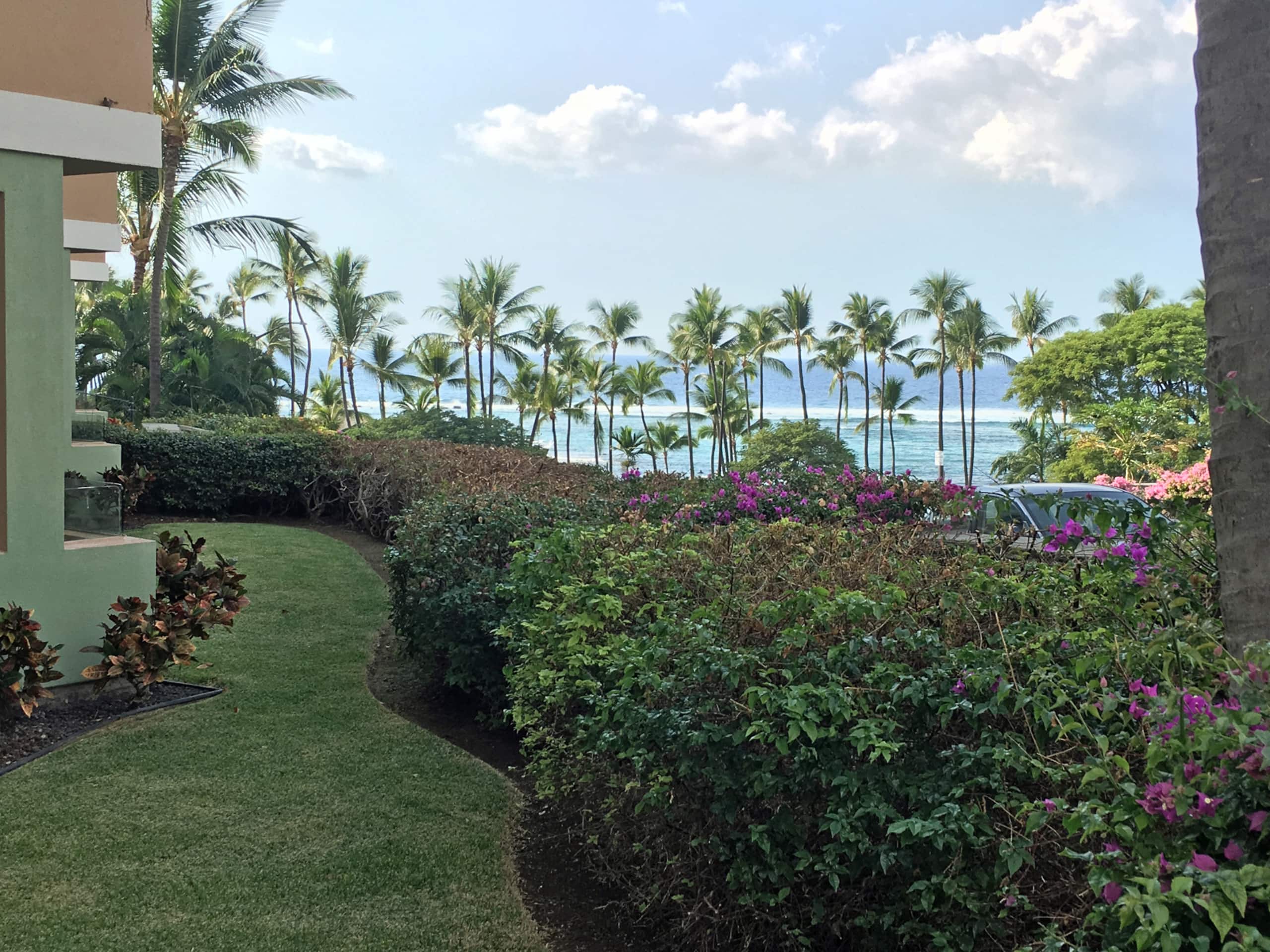 Condo in Kailua-Kona · ★4.94 · 2 bedrooms · 3 beds · 2 baths - Image 16