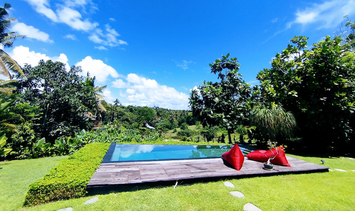 A serene swimming pool is set on a wooden deck surrounded by lush greenery and a vibrant lawn. Two red cushions provide a pop of color against the natural backdrop of palm trees and blue sky, enhancing the tranquil ambiance of the space.