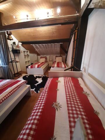 2 chambres/Duplex Grand-Saconnex Palexpo Aéroport gallery image 2