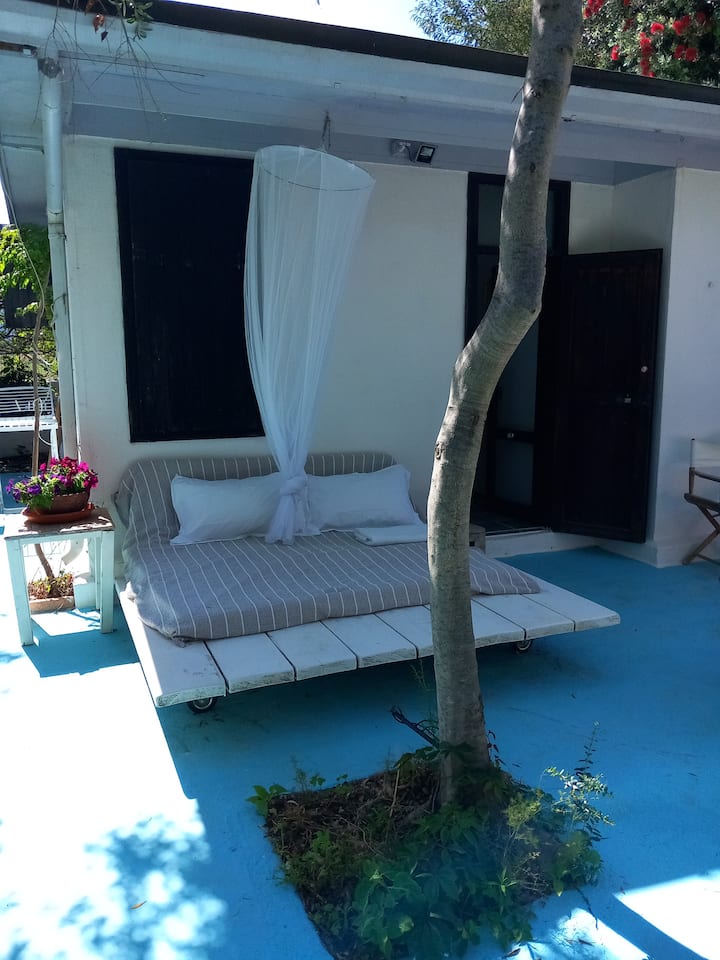 客厅外的露台。  东露台。早餐的理想去处。 