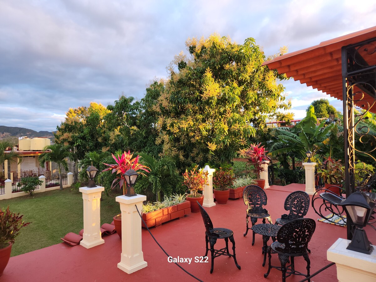 A spacious terrace features decorative potted plants and seating arrangements. Several black wrought iron chairs surround small tables on a red-tiled surface, creating an inviting area for relaxation. Lush greenery and trees are visible in the background against a partly cloudy sky.