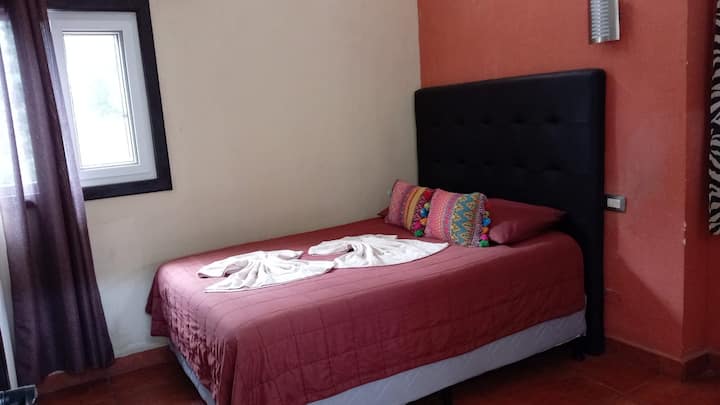 这个房间有一张婴儿床（非常适合有手臂婴儿的夫妇）