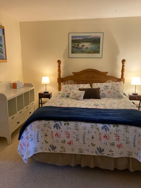 Chambre au rez-de-chaussée avec un lit queen