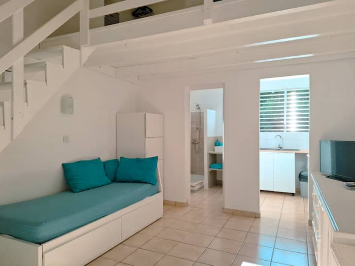 Pièce principale avec canapé convertible 2 couchages. Espace TV