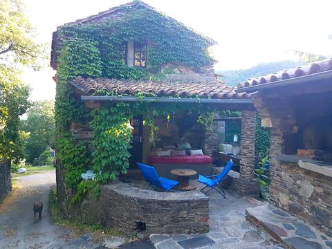 Charming cottage in Cevennes