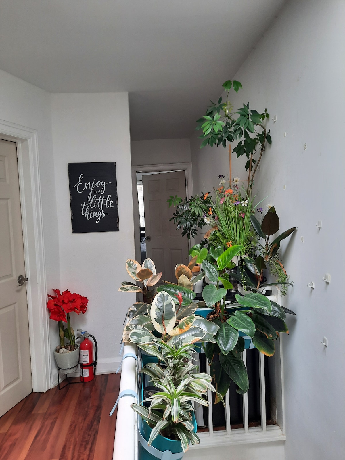 A hallway adorned with an array of potted plants, adding a touch of greenery. A framed sign on the wall reads 'Enjoy the little things.' A door leads to another room, enhancing the inviting atmosphere of the space.